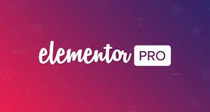 Elementor pro